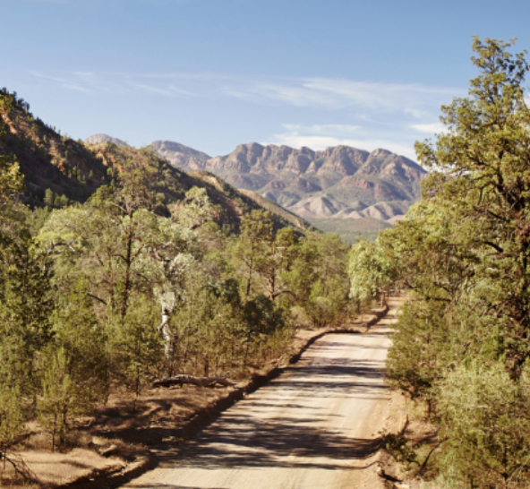 Joint Media Release: New Environment Laws Fall Short