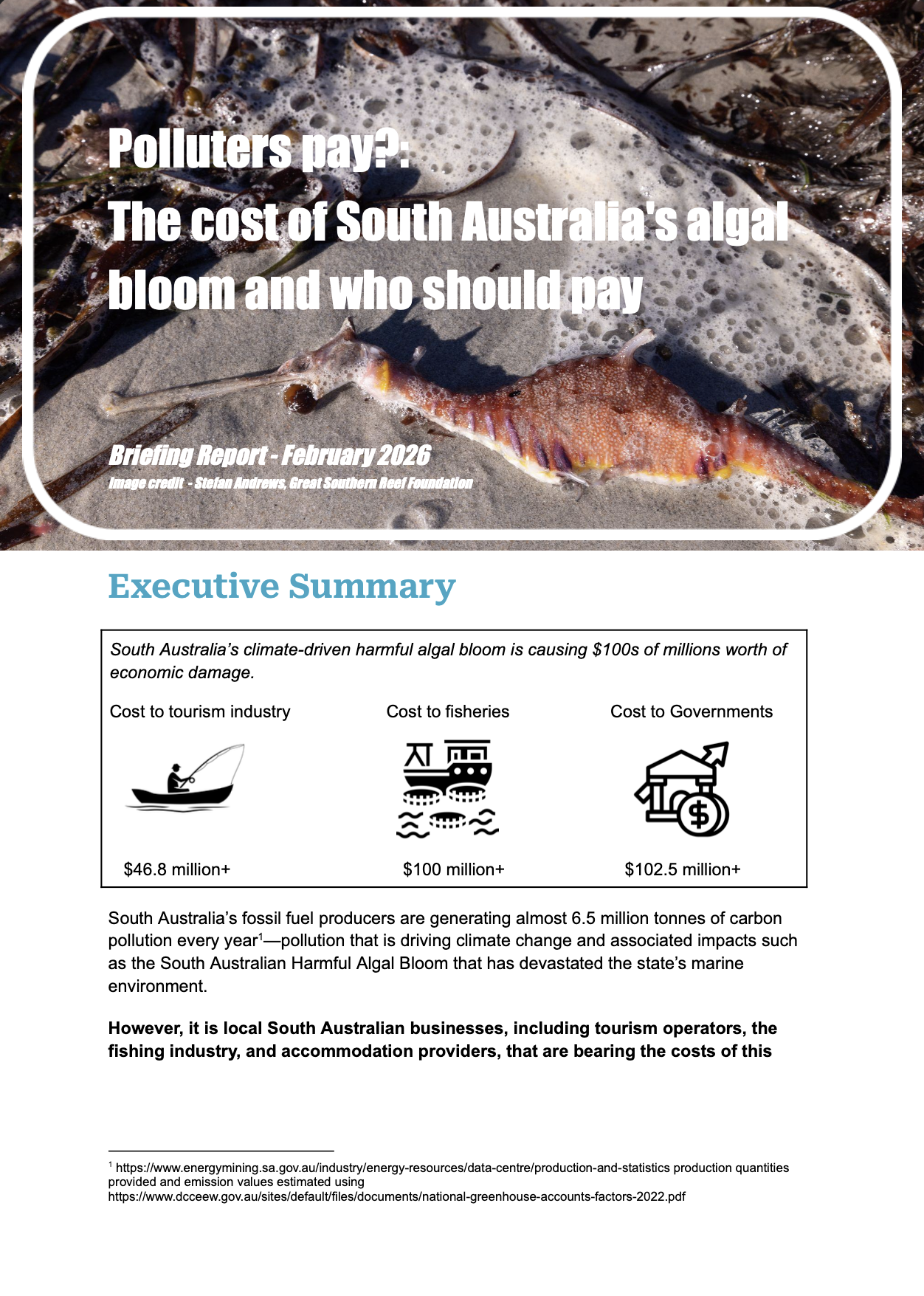 Algal Bloom - Economic Impact Report