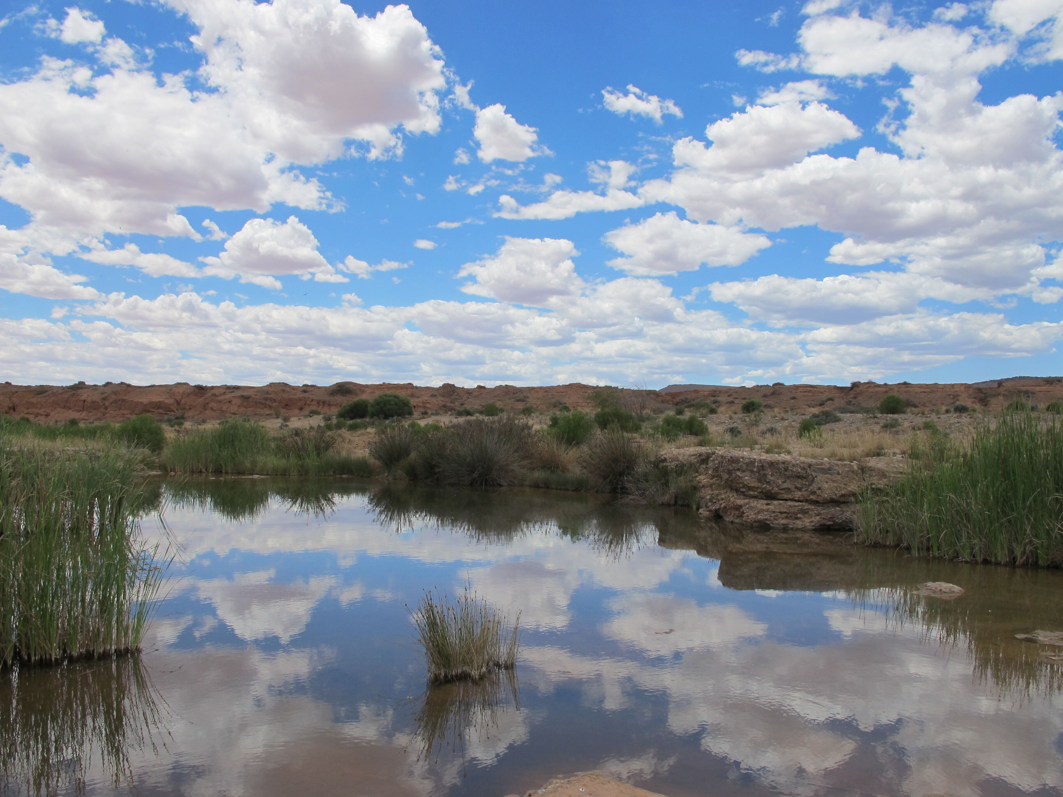 hookina-springs.jpg