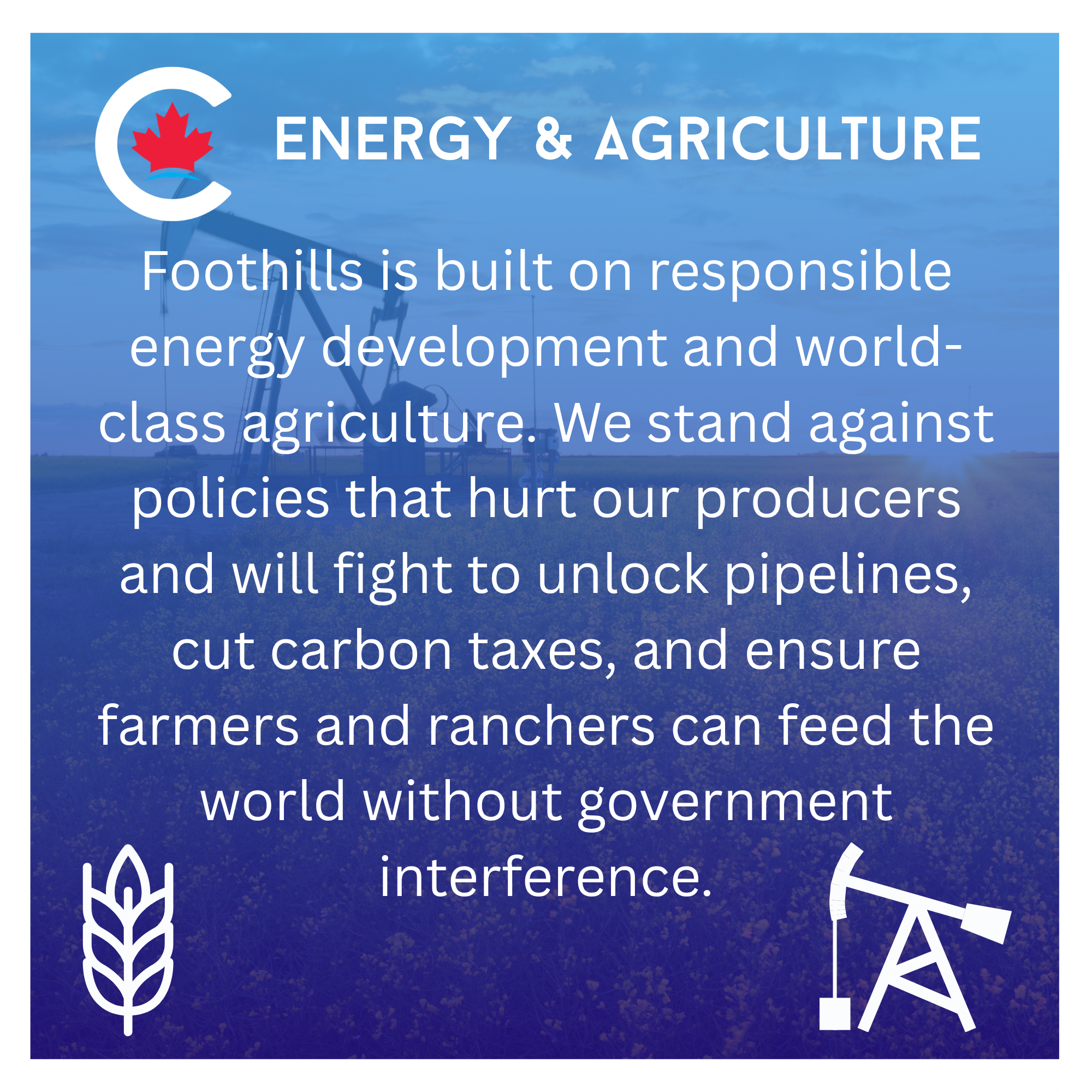 Energy & Agriculture Energy & Agriculture