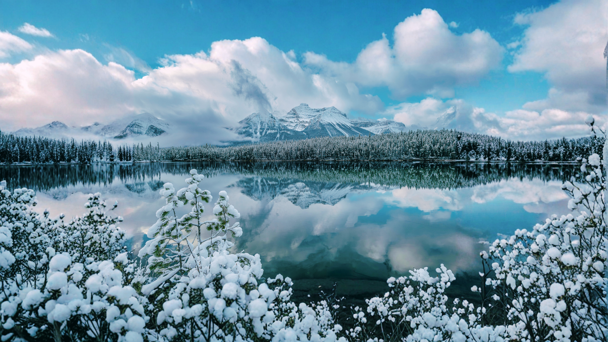 Fighting for a Stronger Alberta and Canada