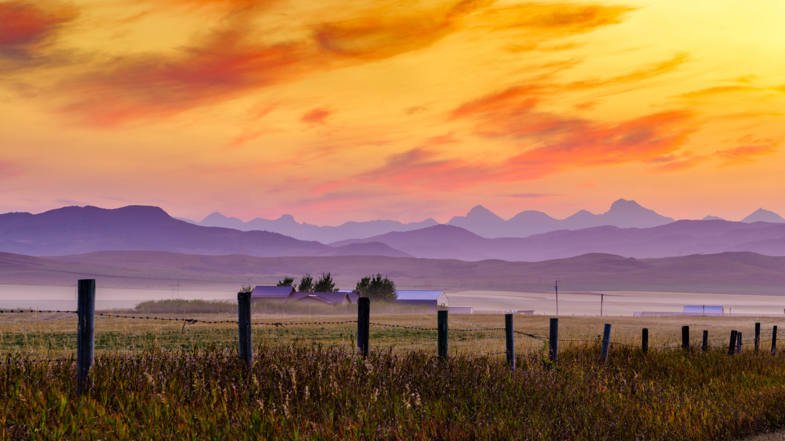 Join the Conservative Team in Foothills