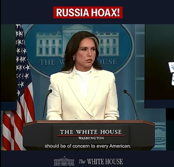 Tulsi Gabbard