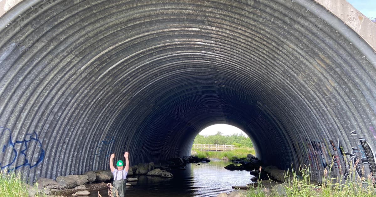 Youth brings Positive Energy, Enthusiasm to Green Jobs Role