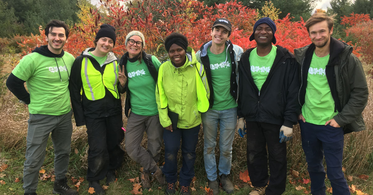 Sowing Seeds of Change: Green Jobs Impacts Urban Forests