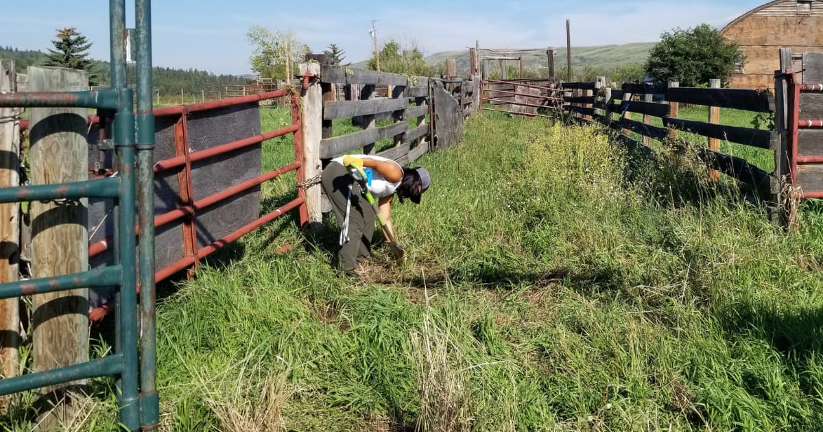 Green Job Helps Preserve Glenbow Ranch Provincial Park