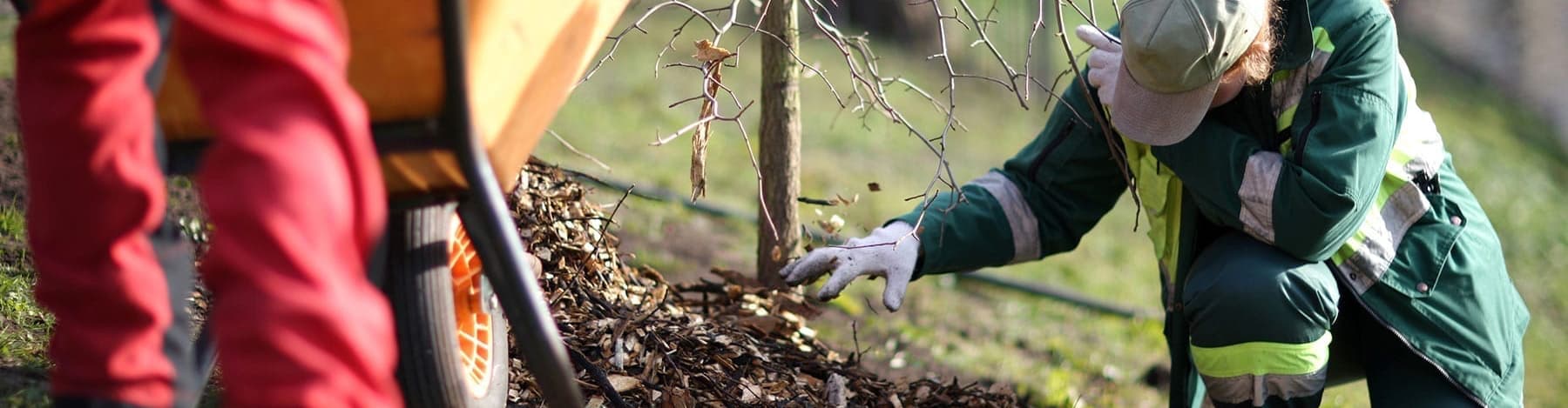 People working on landscaping in park