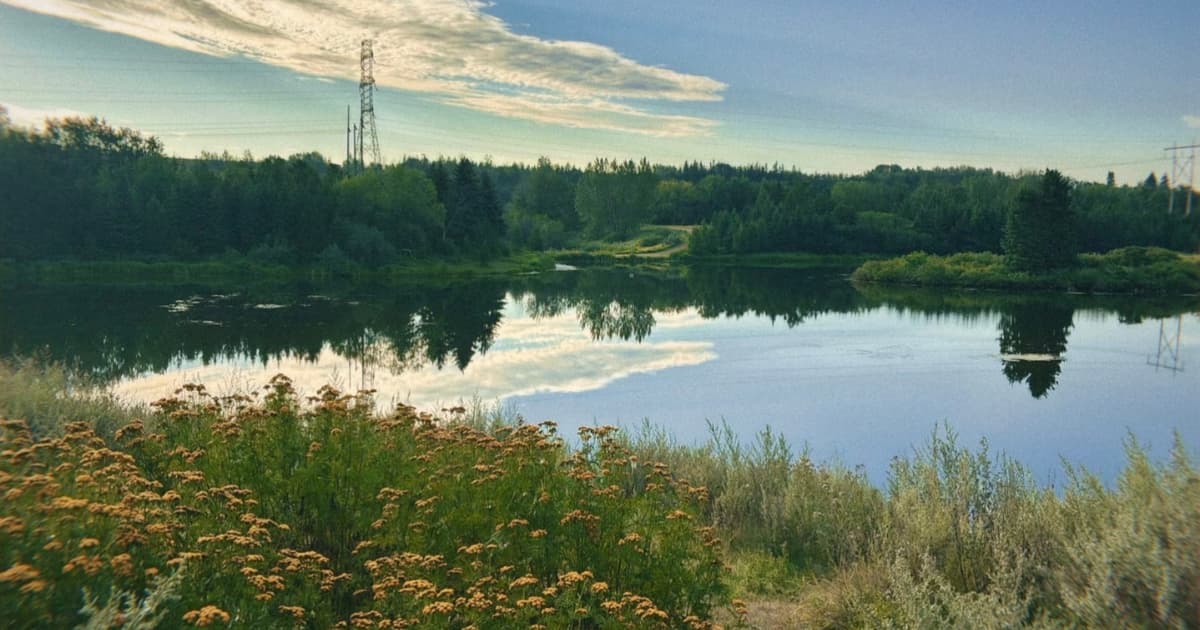 Green Jobs Helps Edmonton Youth Find Belonging