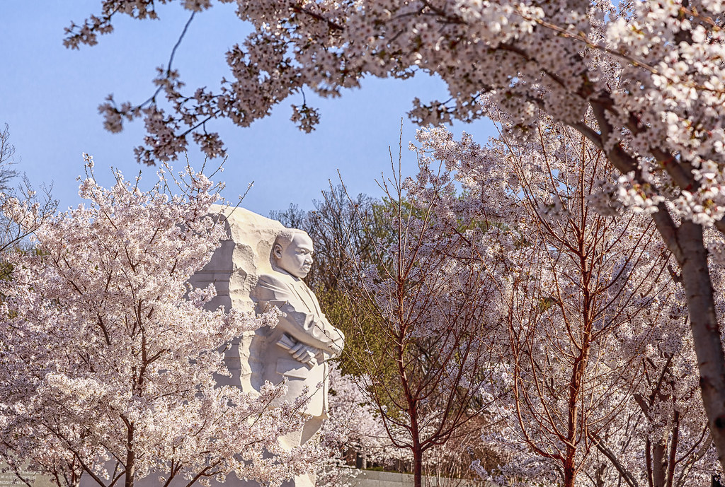 announcements from Civil Rights Division Association