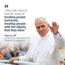 Newsletter November 21, 2025