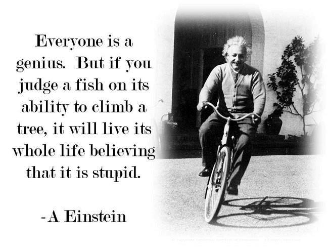 Everyone_is_a_Genius.jpg
