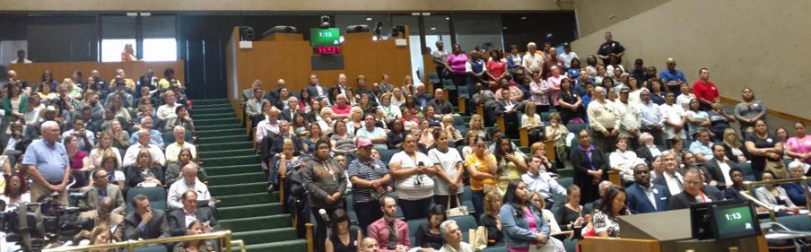 1605_-_DAI_-_Ericka_Ventura_Speaks_before_Council_and_Supporters_-_Cropped.jpg