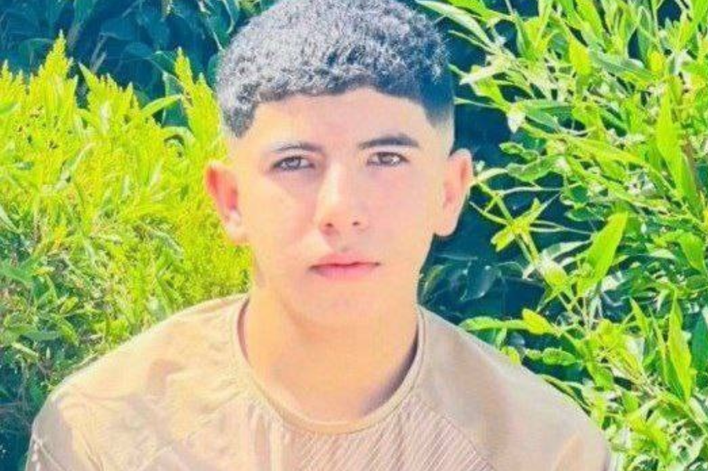 Amr Ali Ahmad Qabha, 13.