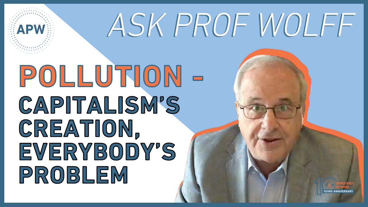 ASK_PROF_WOLFF_Pollution.png
