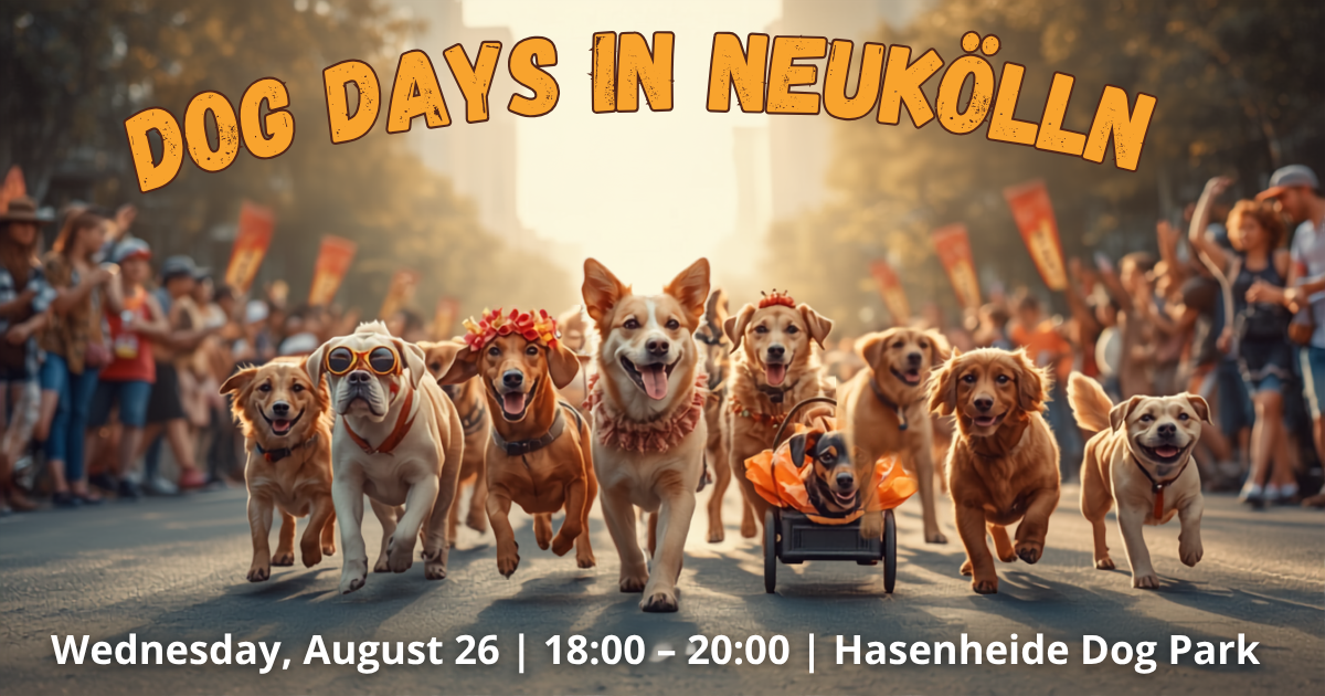 International_Dog_Day.png