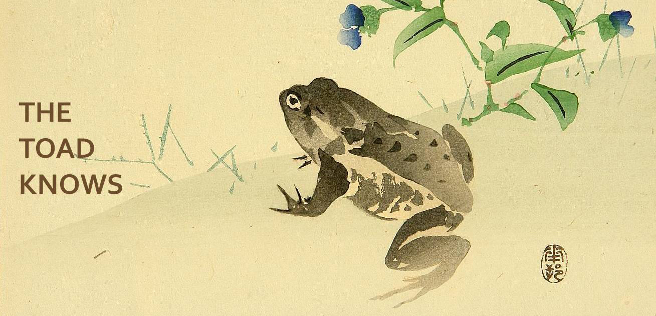 the_toad_knows.jpeg
