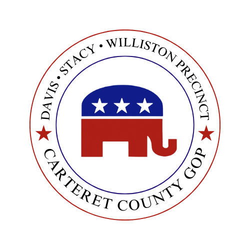 Davis • Stacy • Williston Logo