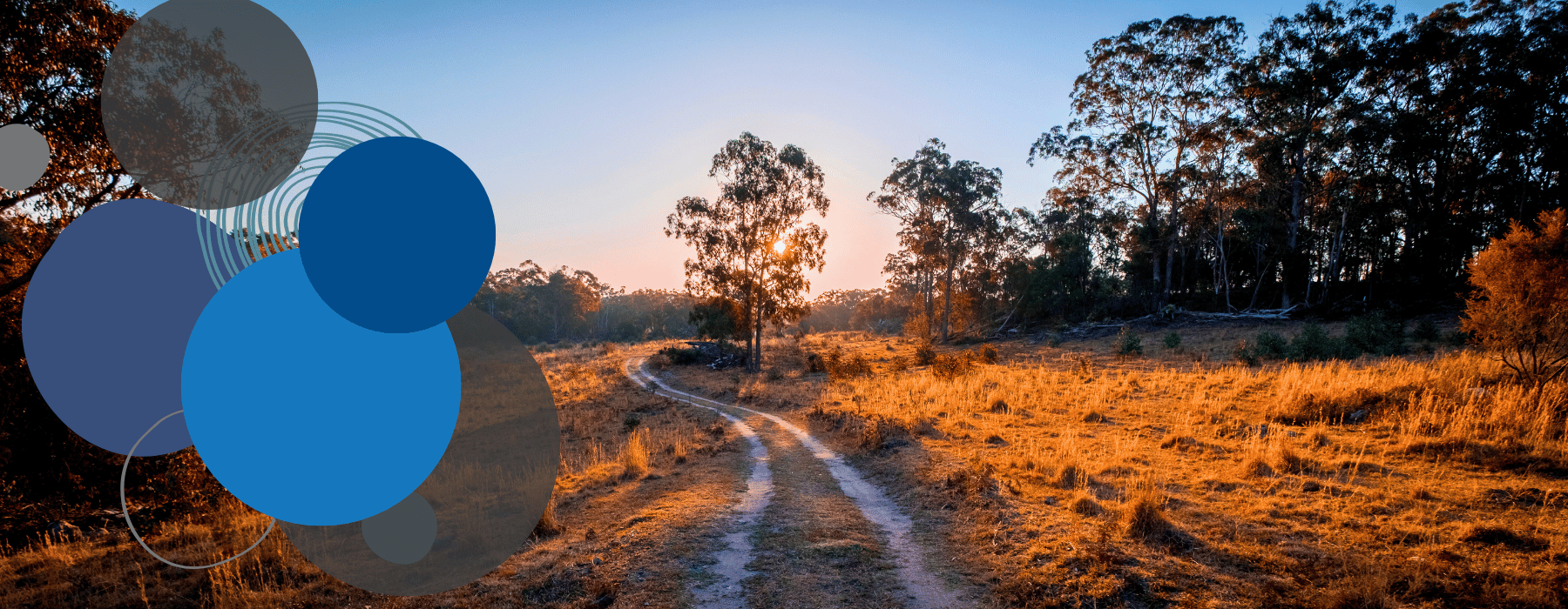 Climate change and sustainability: leadership and action from Australian doctors