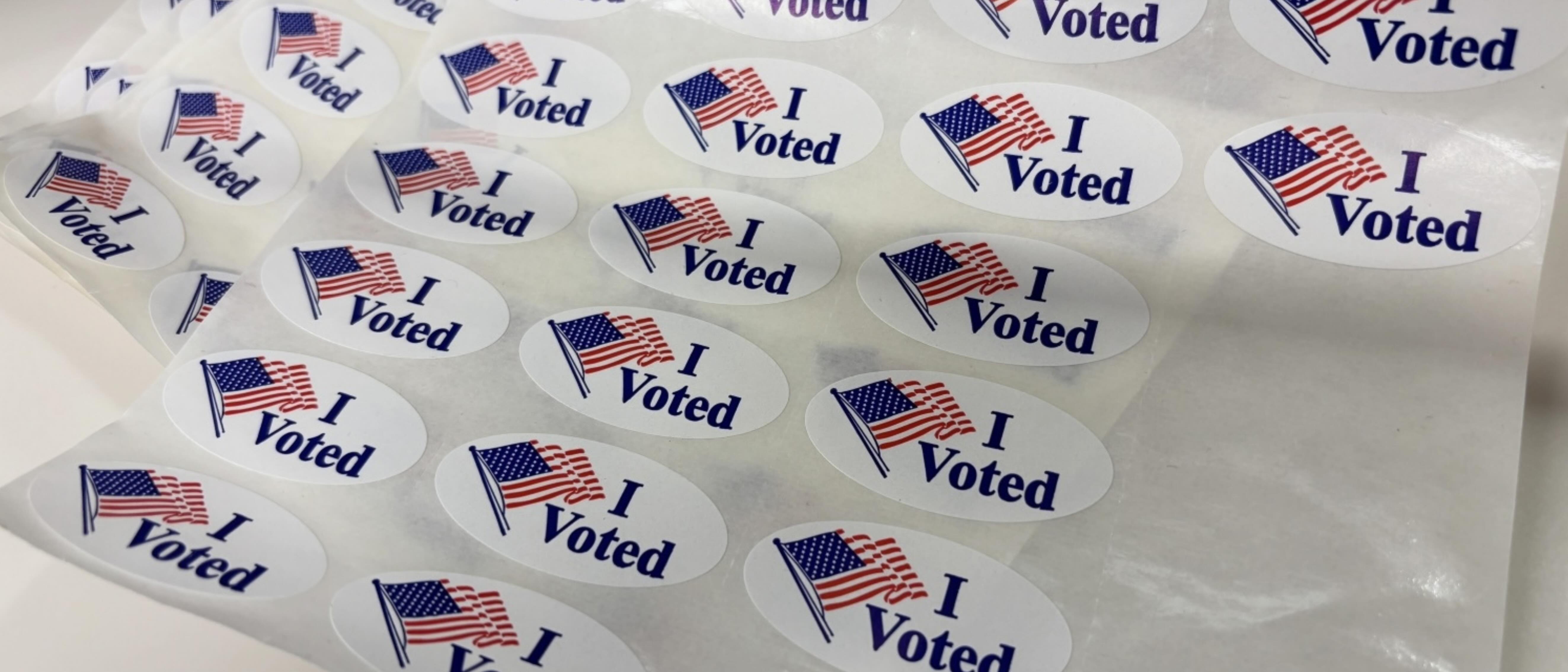 How Important is the Primary Really? 