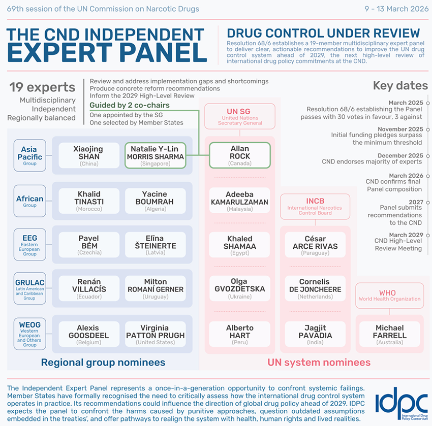 Graphic from the International Drug Policy Consortium displaying who is involved in the Independent Expert Review Panel