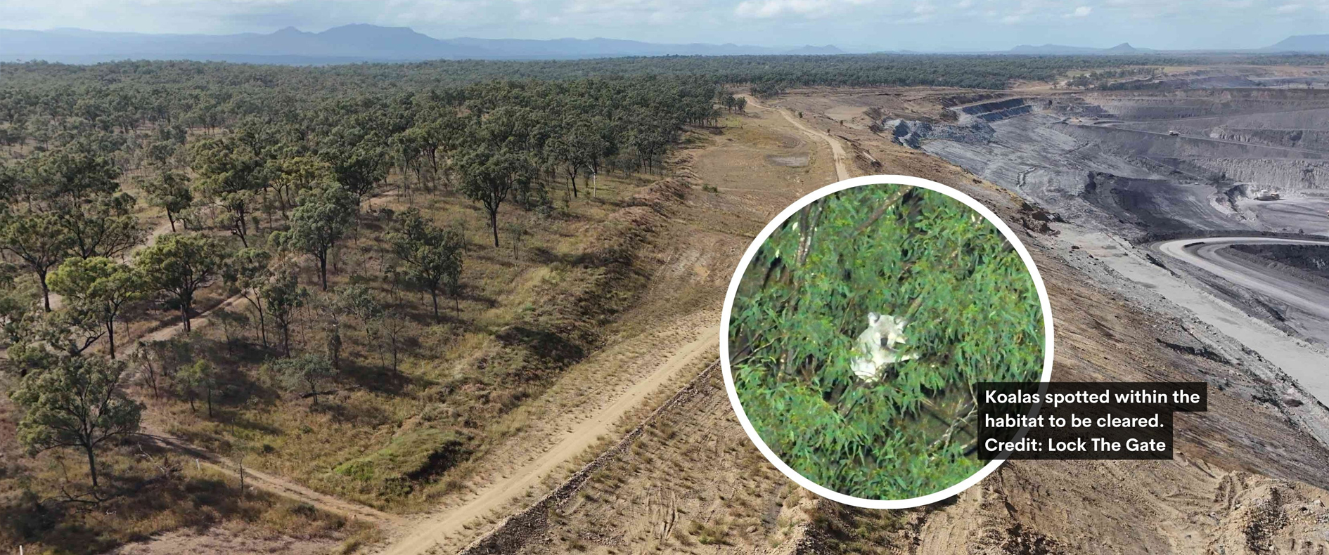 Stop the Hail Creek Coal Expansion