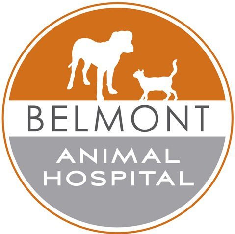 Belmont Animal Hospital