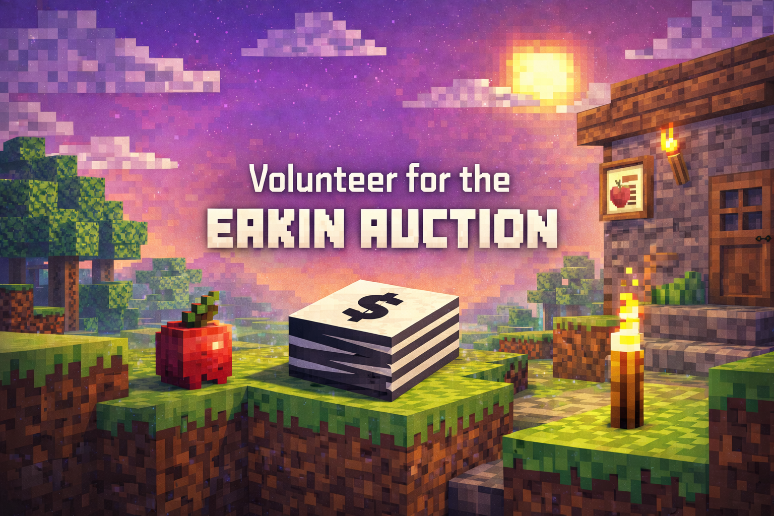 Volunteer for the  Auction!