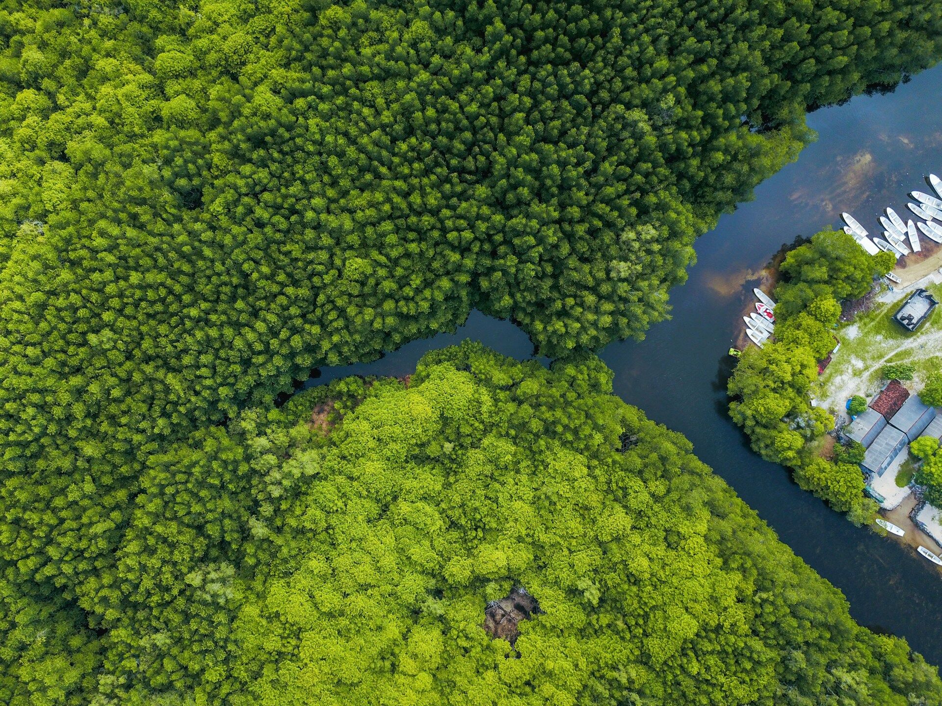 Aerial view of a mangrove canal with a small
boat marina in the corner