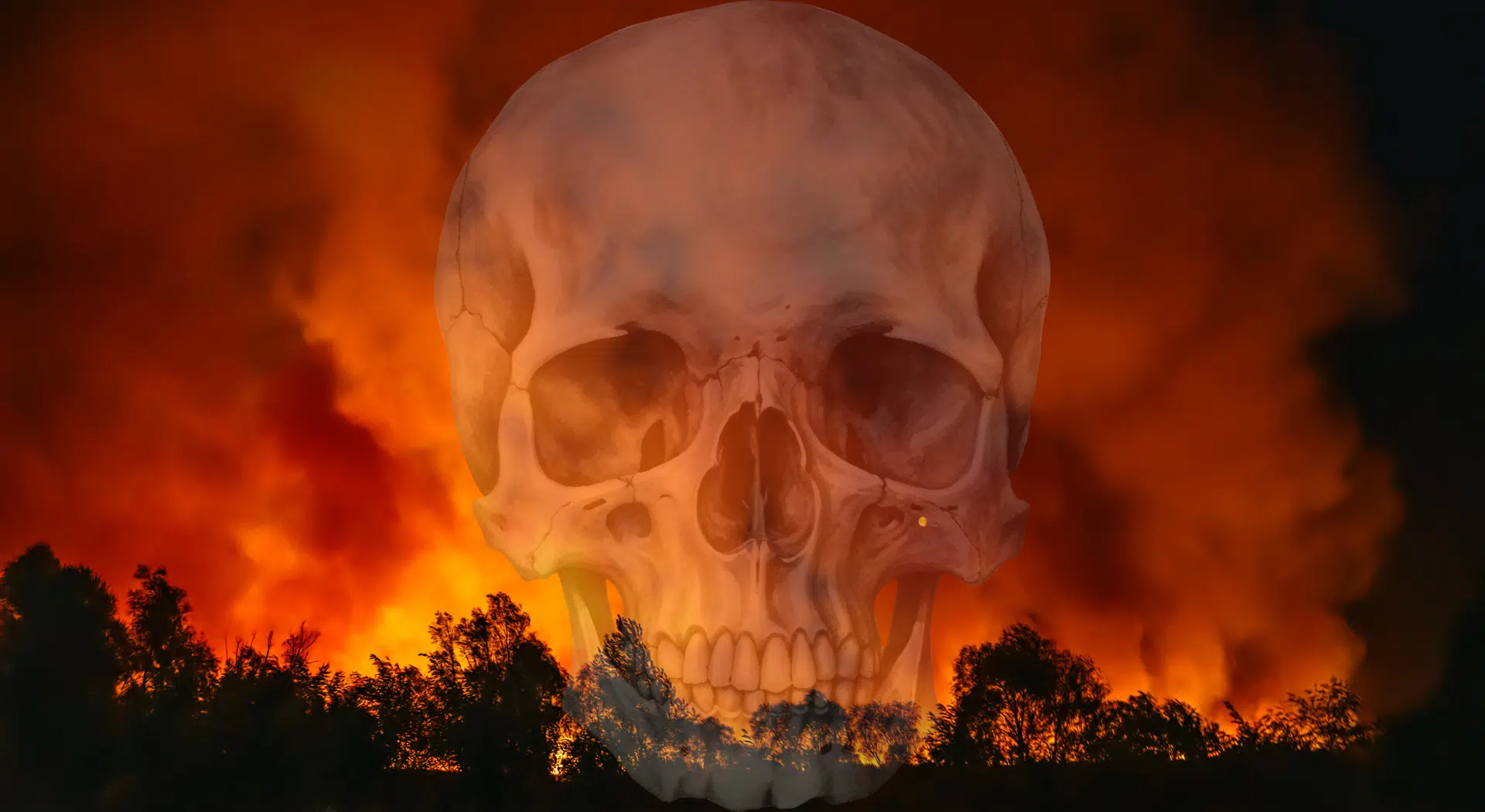 skull overlaying a fire