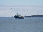 Another Lobster Season is Done
