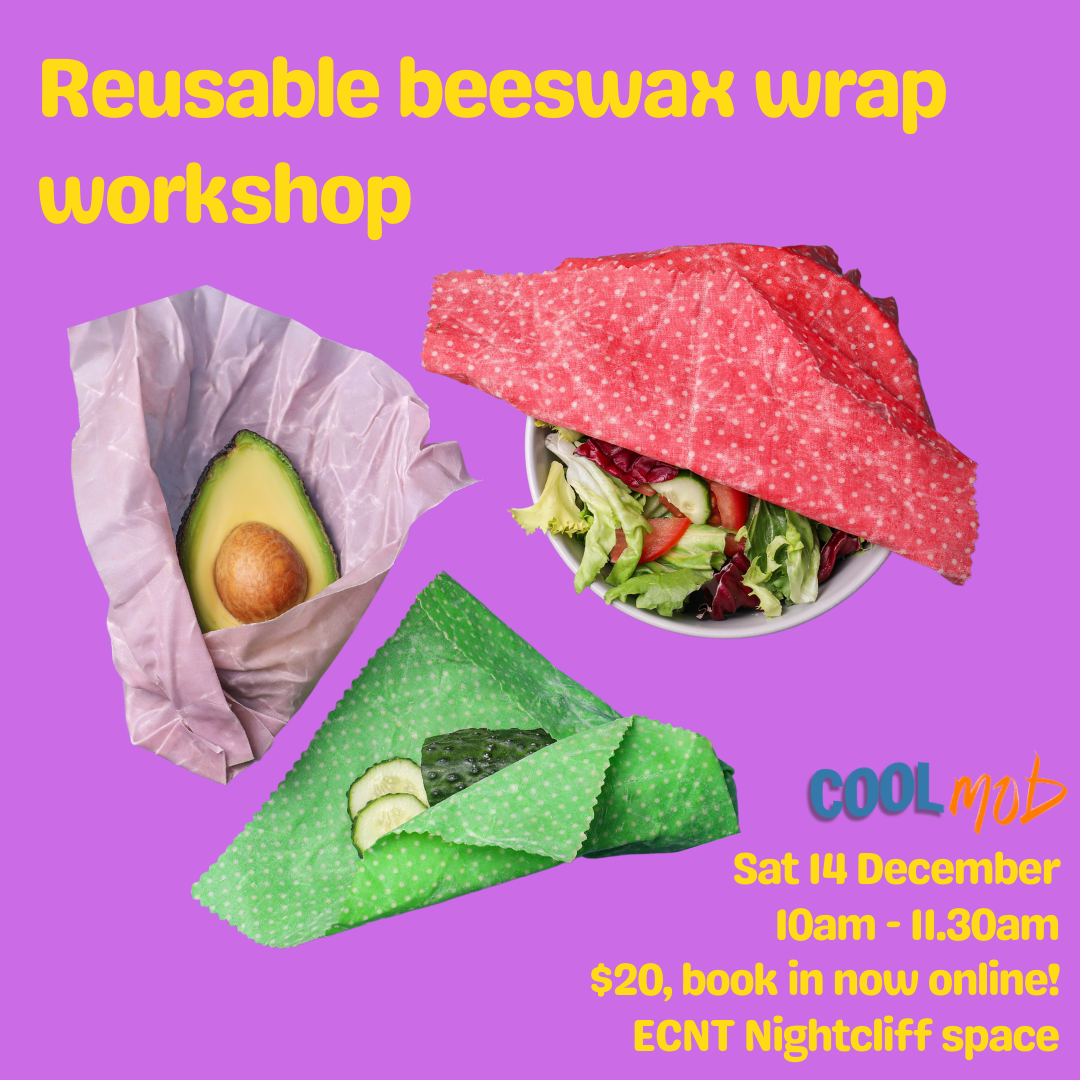 beeswax-wrap-workshop-coolmob
