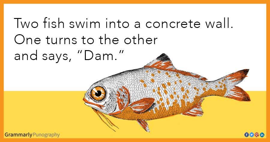 FishSwimIntoConcreteWall.jpg
