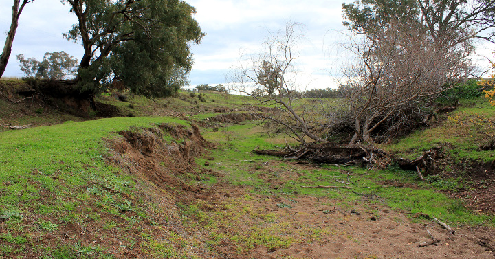Quipolly creek near the mine, dried up