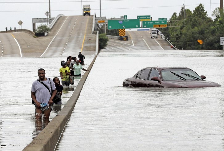 harvey.jpg