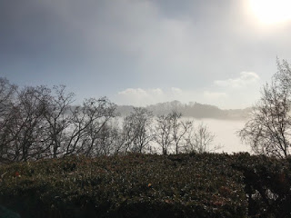 Lifting the Fog