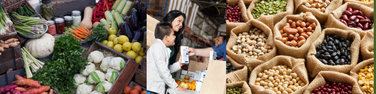 ELAWC monthly food distribution for survivors and families