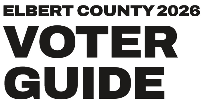 voter guide title