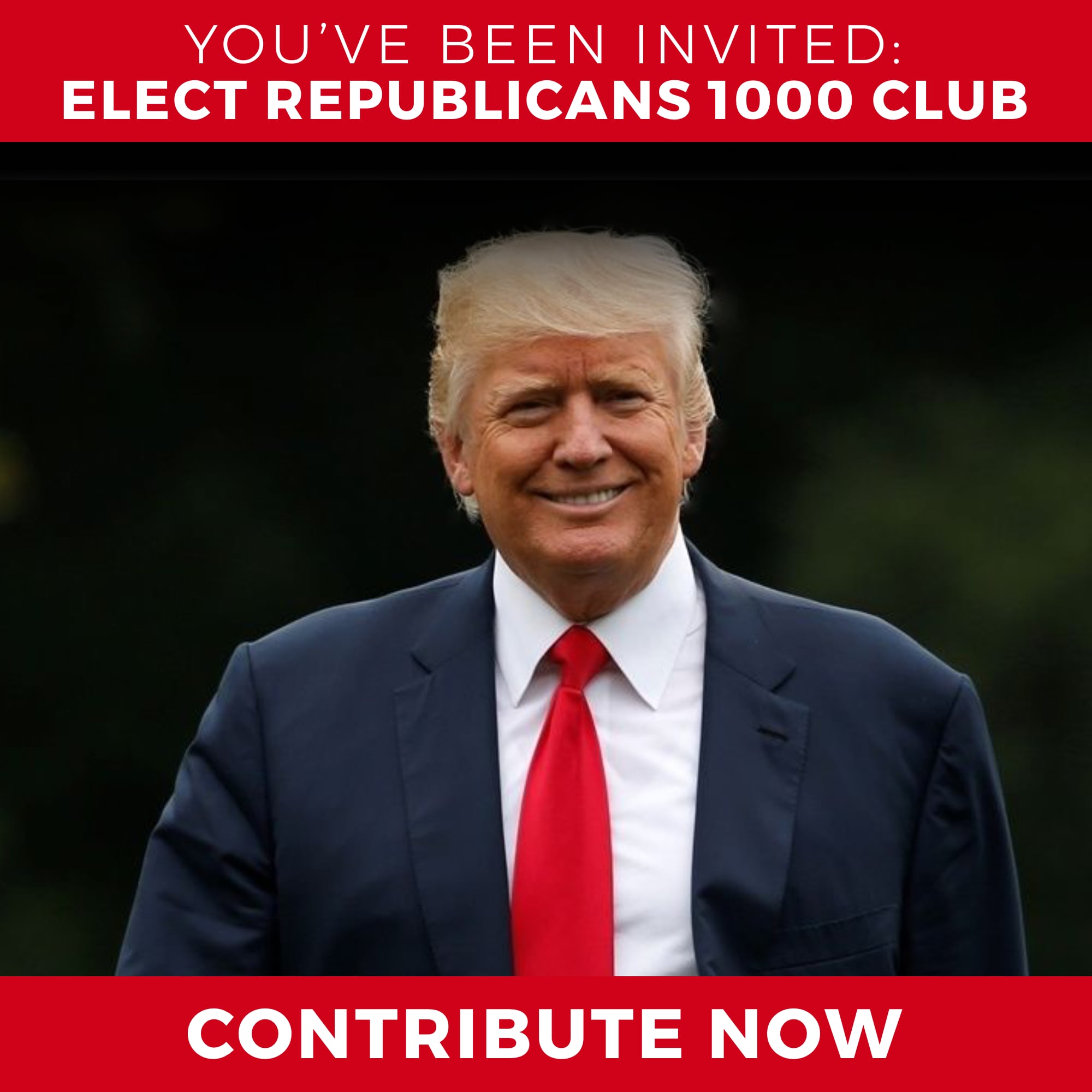Elect Republicans