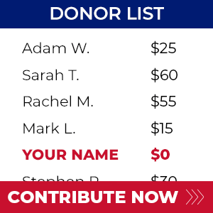 Elect Republicans