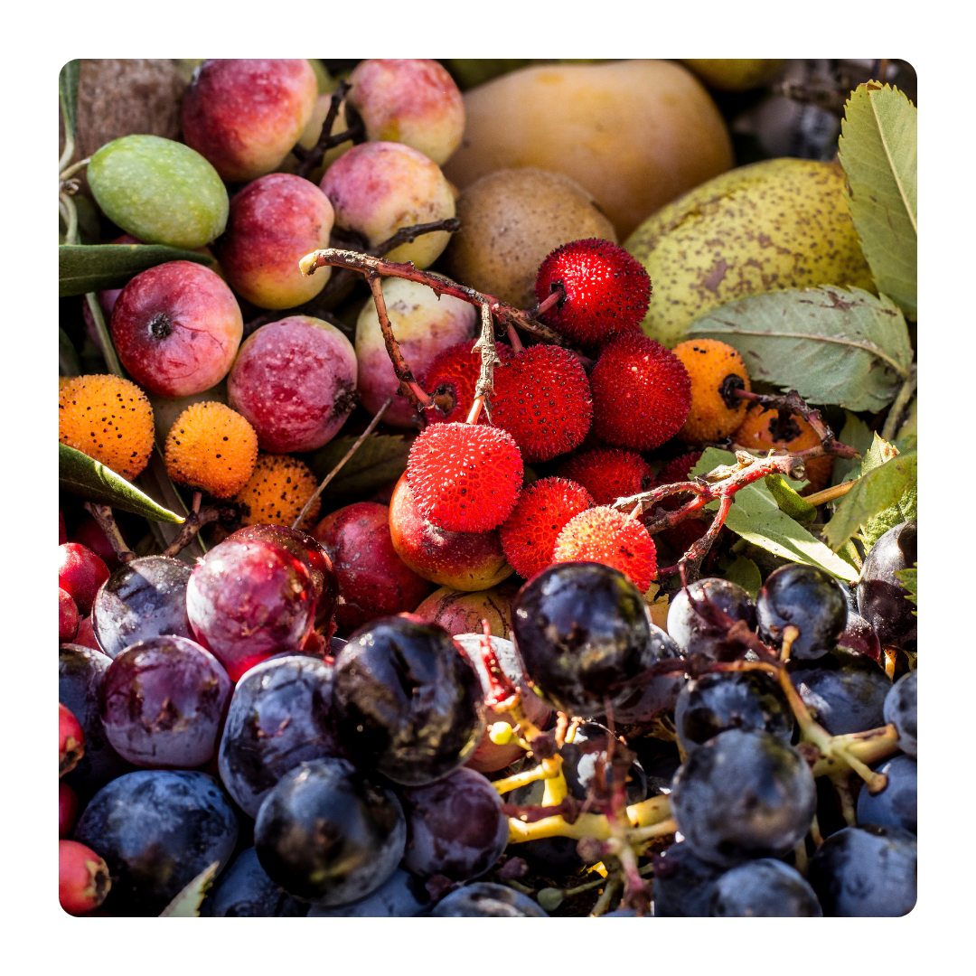 KN_01_antioxidants.png