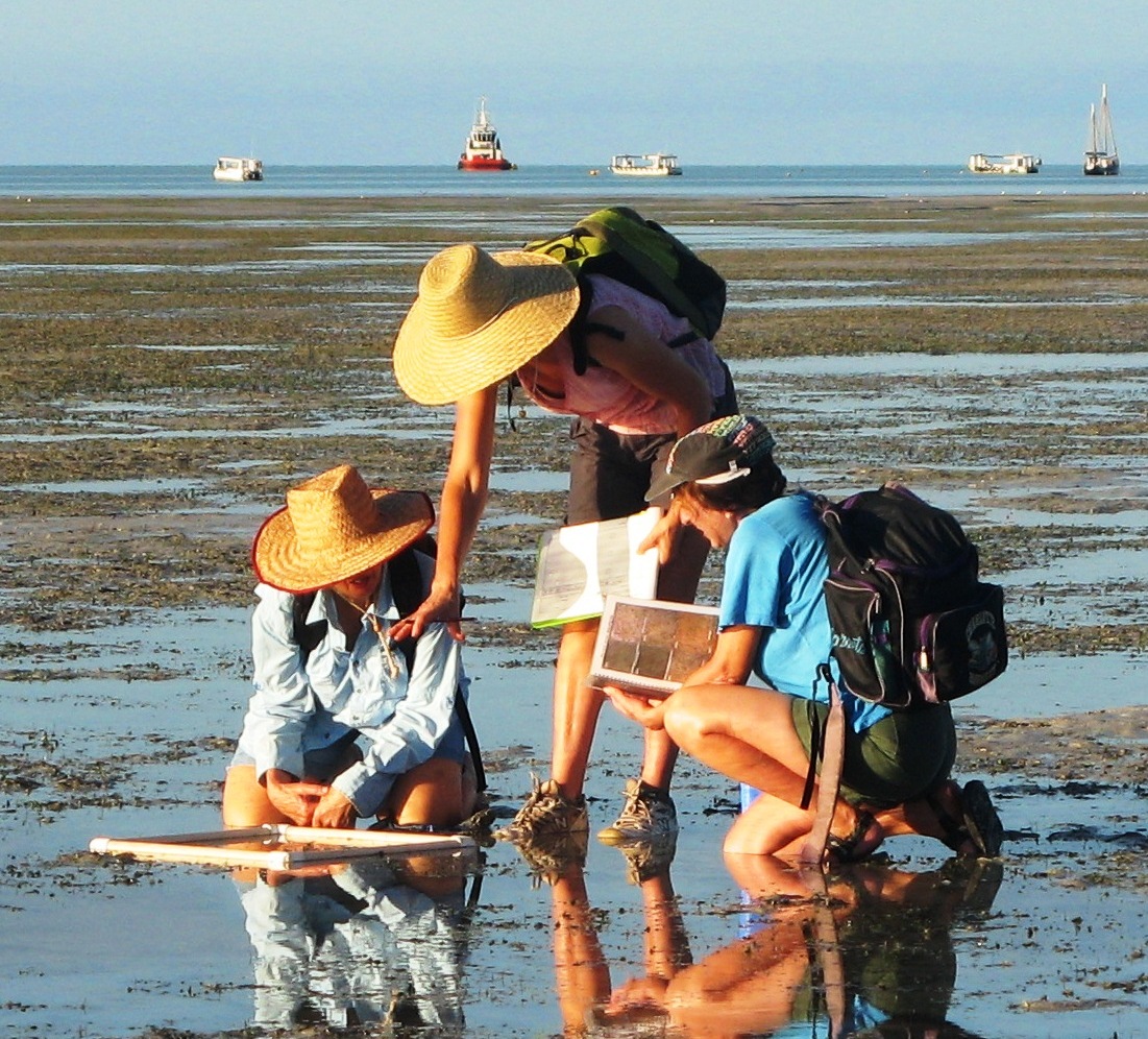 Broome seagrass volunteers