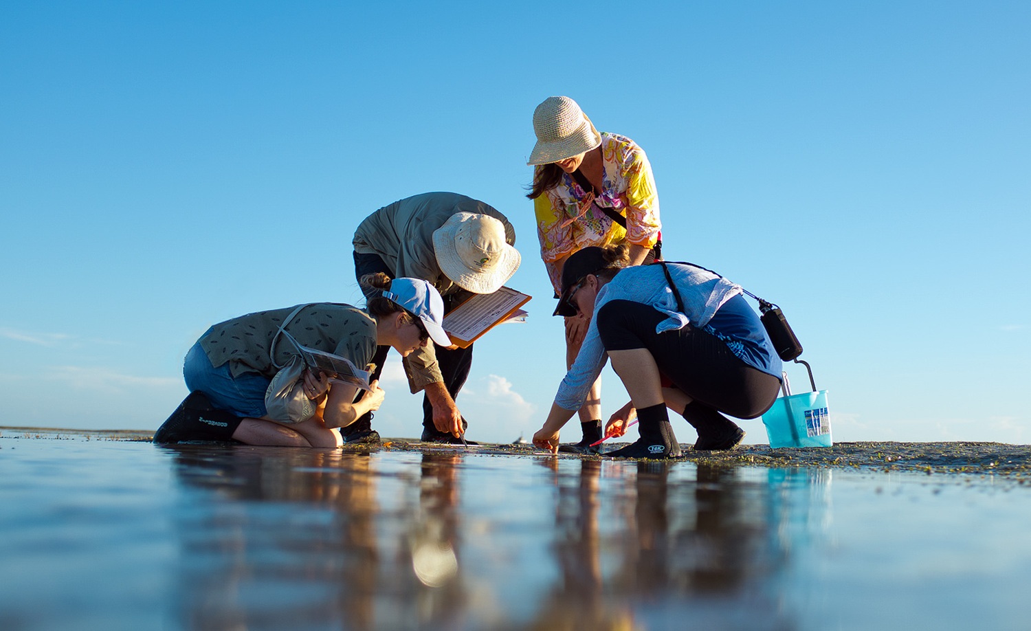 Seagrass team by Michael Tropiano