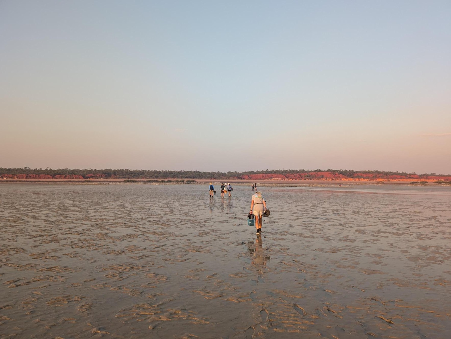 Seagrass monitoring at Black Ledge
