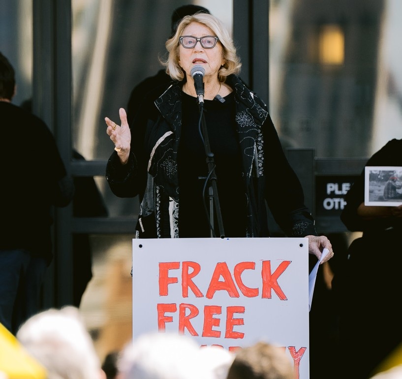 Janet Holmes á Court addresses the rally. Photo by Reifanzo Photography. Janet Holmes á Court addresses the rally. Photo by Reifanzo Photography.