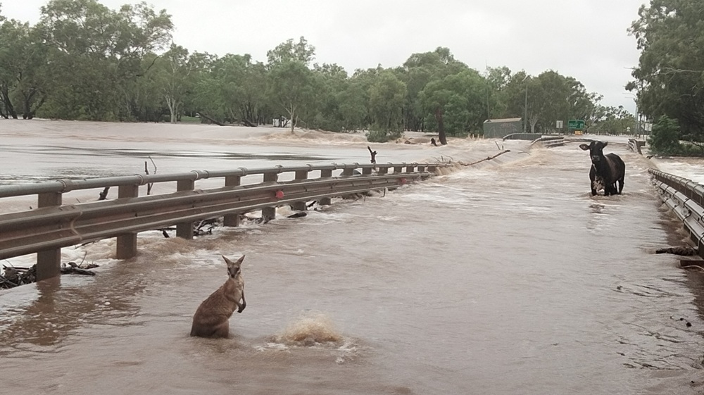 Fitzroy Crossing bridge collapsing in the great flood of 2023. Photo by Andrea Myers.