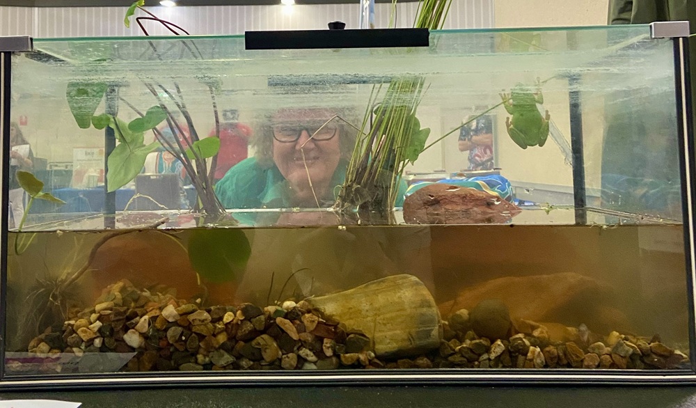 Our own mini wetland