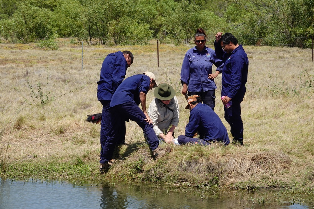 Photo by Mark Cowan Photo by Mark Cowan