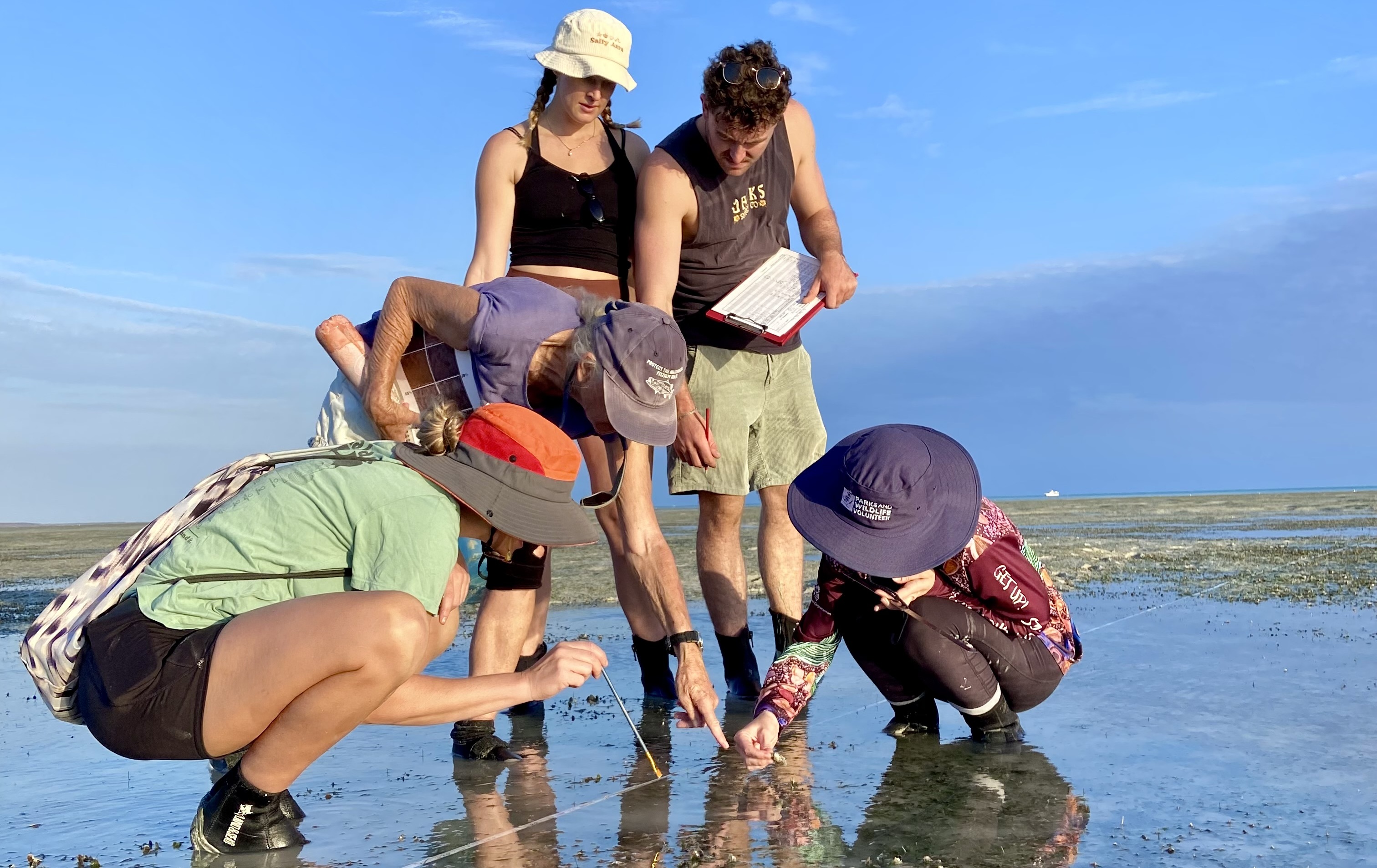 Volunteers record sea worms during seagrass surveys