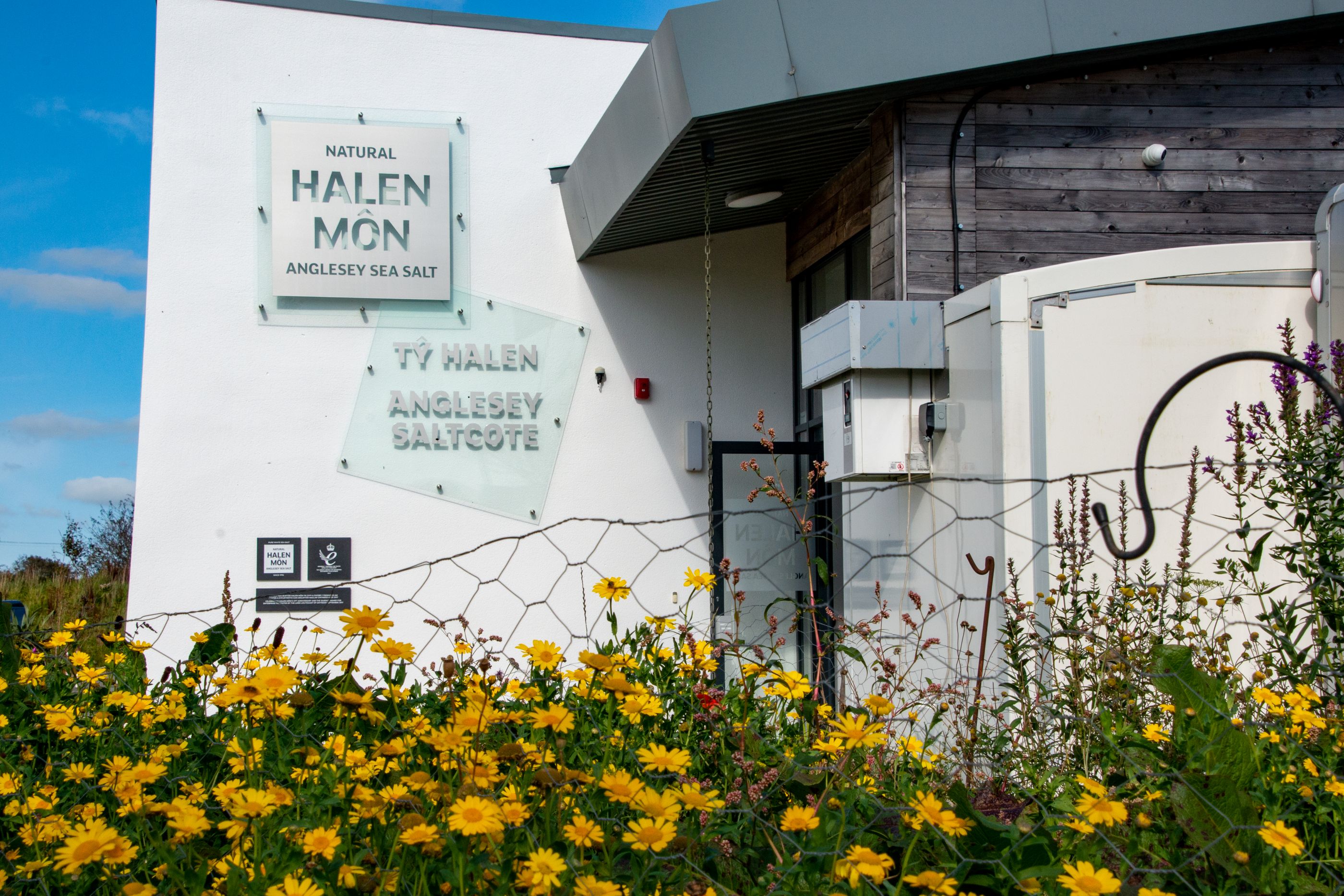 Anglesey Sea Salt Co.