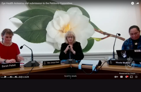 Oral Submission: Eye Health Aotearoa to the New Zealand Government Petitions Committee 1 June 2023 - Eye Health Aotearoa preview image